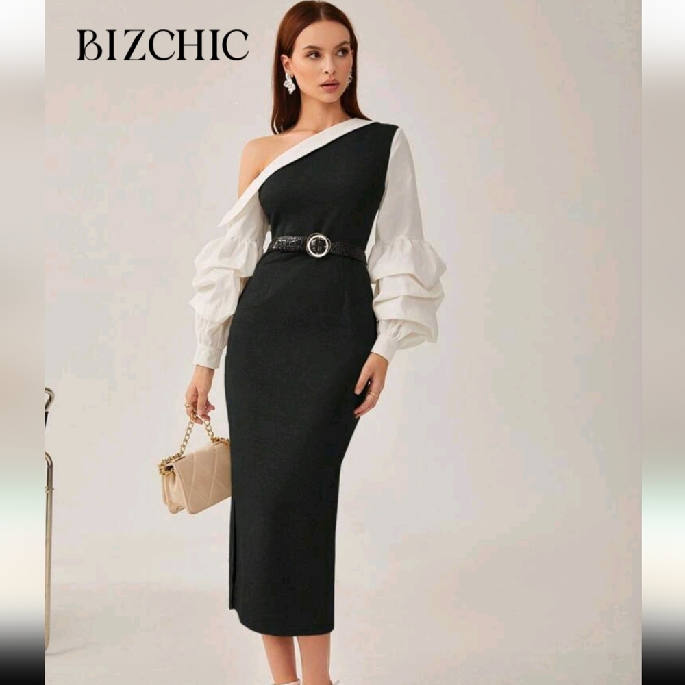 Dress-BizChic Asymmetrical Neck Lantern Sleeve Split Hem Without Belt Workwear